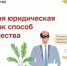 Южноуральцам расскажут, как защититься от мошенников в юридической сфере - Газета Искра