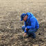 Весенняя посевная кампания в этом году началась на две недели раньше обычного срока - Газета Искра
