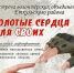Волонтеры из 19 населенных пунктов Еткульского района соберутся на праздничном мероприятии «Золотые сердца для СВОих» - Еткульский район