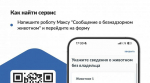 На портале «Госуслуги» можно уведомить о безнадзорном животном